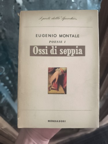 Ossi seppia montale - -,
